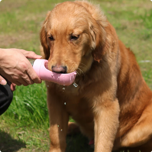 Portable 2-in-1 Pet Water Bottle
